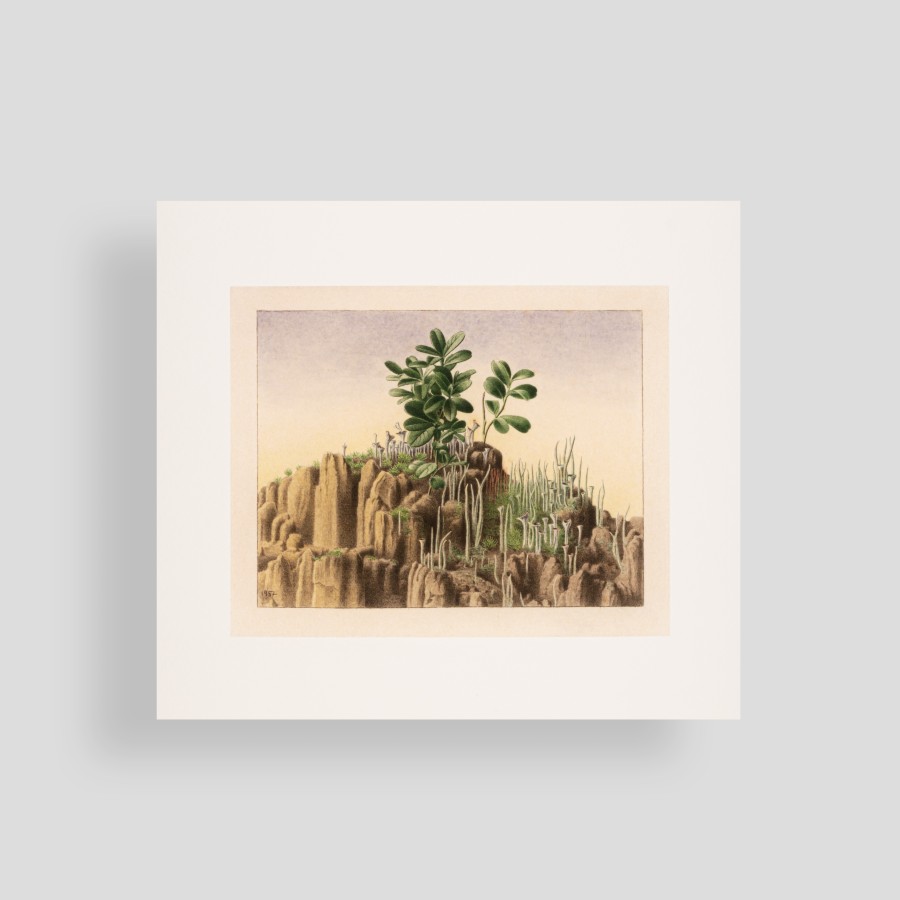 Lidija Meškaitytė. Iš ciklo „Miško pasaka“