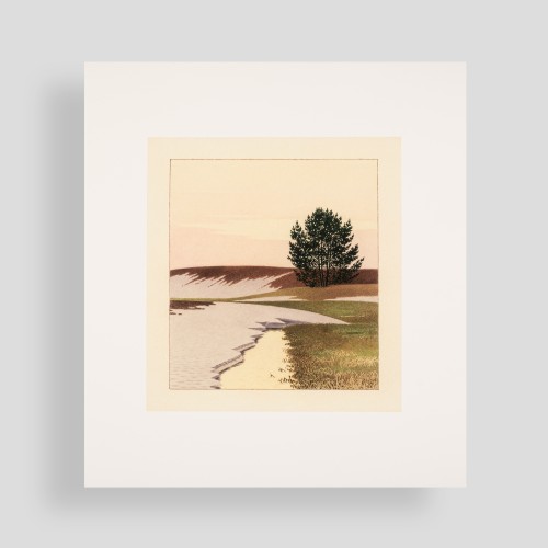 Lidija Meškaitytė. Paskutinis ledas. Reprodukcija