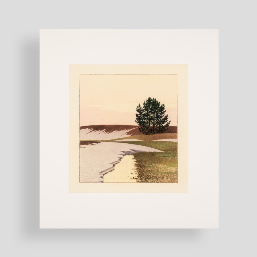 Lidija Meškaitytė. Paskutinis ledas. Reprodukcija