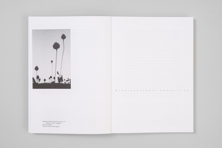 M. Matulytė. Kraštovaizdžio semiozė Lietuvos fotografijoje