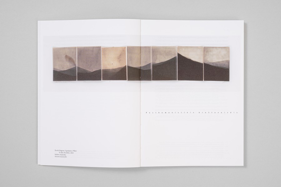 M. Matulytė. Kraštovaizdžio semiozė Lietuvos fotografijoje