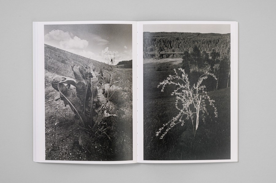 M. Matulytė. Kraštovaizdžio semiozė Lietuvos fotografijoje