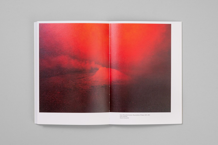 M. Matulytė. Kraštovaizdžio semiozė Lietuvos fotografijoje