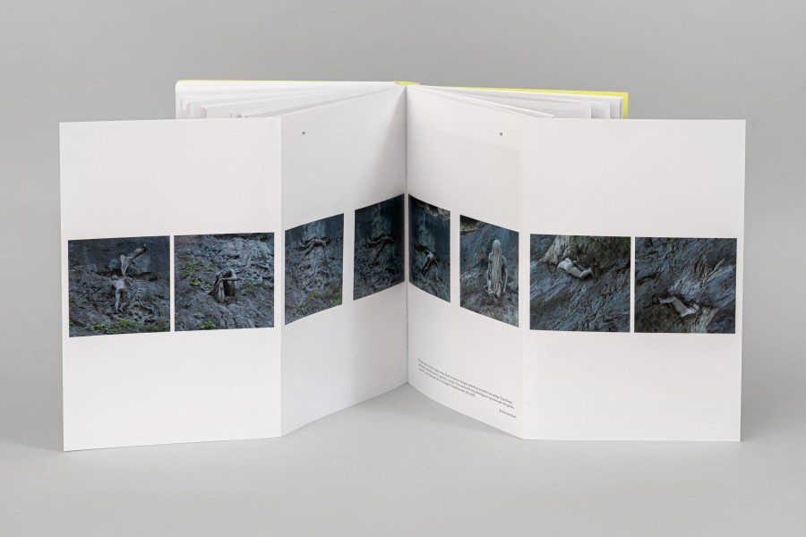 M. Matulytė. Kraštovaizdžio semiozė Lietuvos fotografijoje