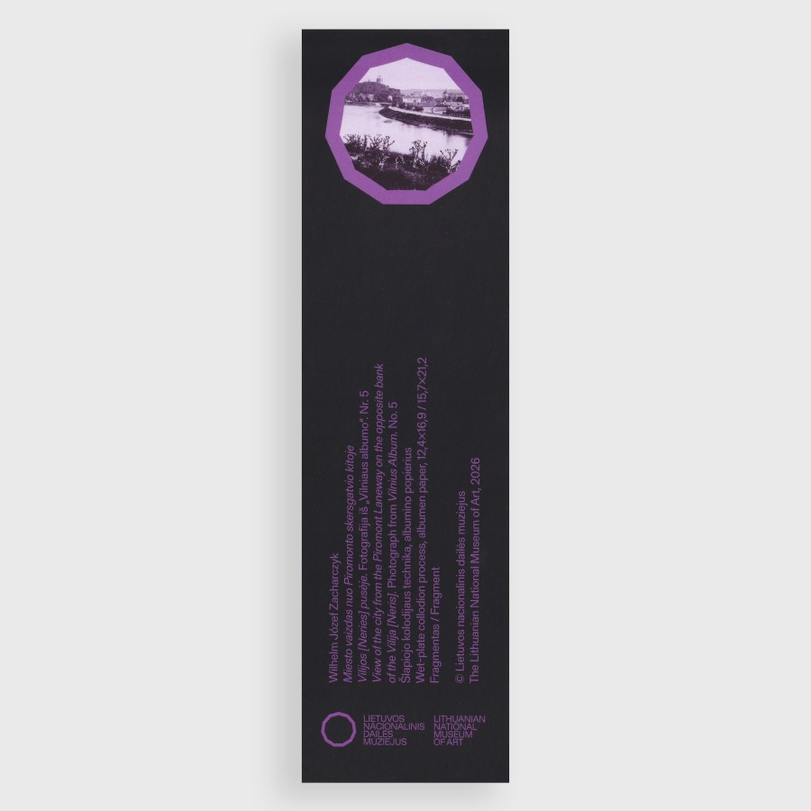 Skirtukas. Miesto vaizdas nuo Piromonto skersgatvio