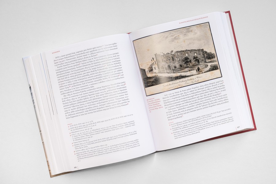 Anna Sylwia Czyż. Vilniaus rūmai XVII–XVIII amžiuose